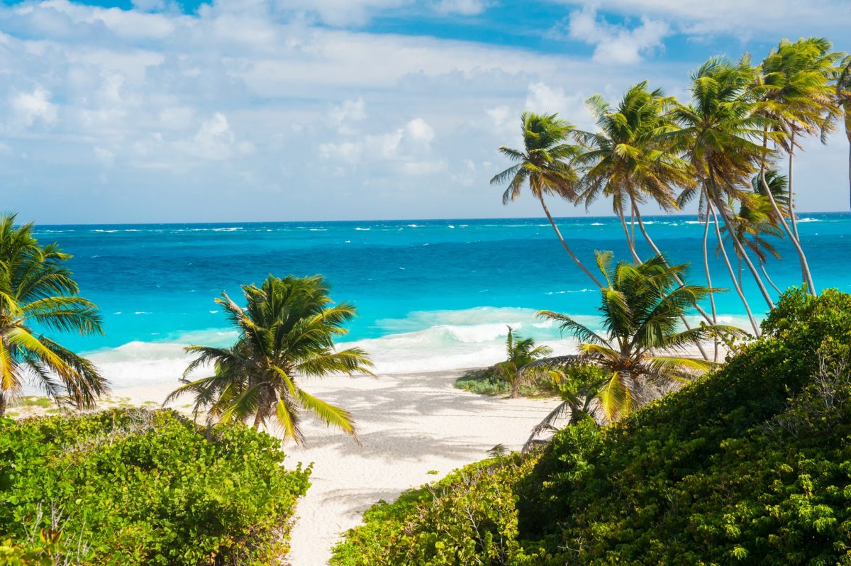 Bougainvillea Beach Resort- Barbados